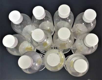 11 er SET SODASTREAM Play Source Cool Power Flaschen SET mit11 Flaschen – Bild 4
