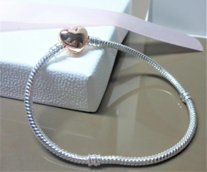 NEU 19cm ROSEGOLD mit SILBER Schlangen Gliederarmband Herz Armband für  Charm