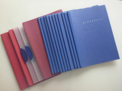 16 Bewerbungsmappen Klemmappe blau rot transparent Konvolut