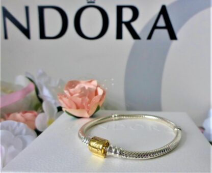 Pandora 16cm GOLD 585 14K S925  OVP Moments Schlangen Glieder Armband 599347C00 – Bild 4