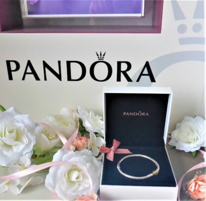 Pandora 16cm GOLD 585 14K S925  OVP Moments Schlangen Glieder Armband 599347C00