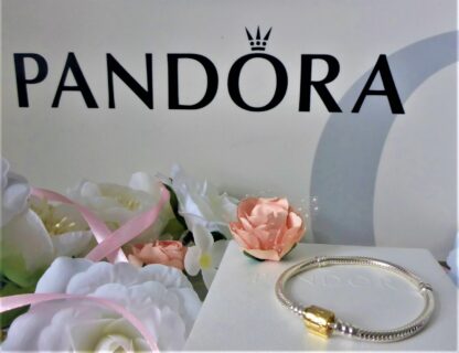 Pandora 16cm GOLD 585 14K S925  OVP Moments Schlangen Glieder Armband 599347C00 – Bild 9
