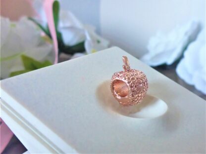 Apfel LIEBE Prinzessin Treue Märchen Freunde Rosegold Charm für Armband Anhänger – Bild 4