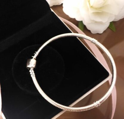 NEU 20cm Schlangen Glieder Armband S925 SILBER für Charms Zylinderverschluss – Bild 3