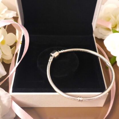 NEU 20cm Schlangen Glieder Armband S925 SILBER für Charms Zylinderverschluss