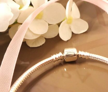 NEU 20cm Schlangen Glieder Armband S925 SILBER für Charms Zylinderverschluss – Bild 8